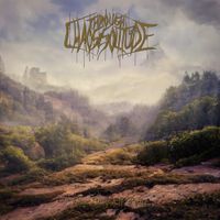 Through Chaos & Solitude - One Inch of Peace