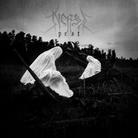 Norse - Pest