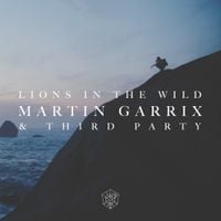 Martin Garrix & Third Party - Lions in the Wild
