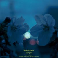 Lucid Green - Moonflower