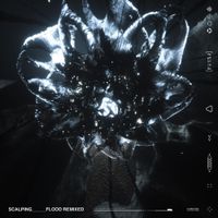 SCALER - Flood Remixed