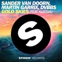 Sander Van Doorn, Martin Garrix & DVBBS - Gold Skies
