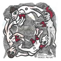 Marissa Paternoster - Peace Meter