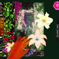Dos Santos - City of Mirrors