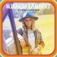 Miranda Lambert - If I Was a Cowboy
