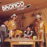 Bronco - Bronco Amigo