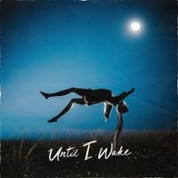 Until I Wake - Until I Wake