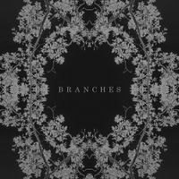 AK - Branches