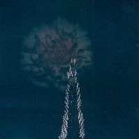 Blanket Swimming - Leaves Painted In A Darker Blue