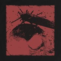 Caveman Cult - Rituals of Savagery