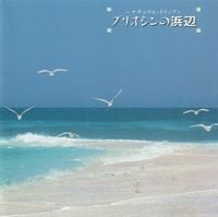 磯田健一郎 [Kenichiro Isoda] - プリオシンの浜辺 [Pliocene Beach]