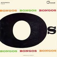 Los Admiradores - Bongos