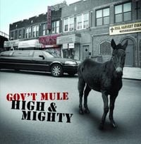 Gov't Mule - High & Mighty