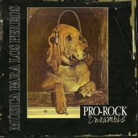 Pro-Rock Ensamble &lrm; - M&uacute;sica Para Los Perros