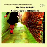 Slow Down Tallahassee - The Beautiful Light