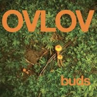 Ovlov - The Wishing Well