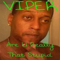 Viper - Are U Really That Stupid