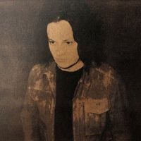 The Raconteurs - Hey Gyp (Dig the Slowness)