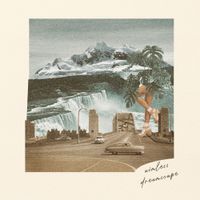 Aimless - Dreamscape