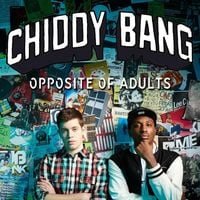 Chiddy Bang - Opposite of Adults