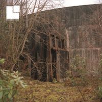 Sectioned - Starved Lives