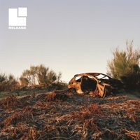 Sectioned - Release
