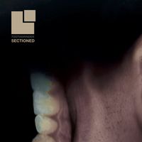 Sectioned - Toothgrinder