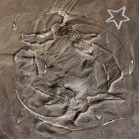 Ava* - Angels in the Sand
