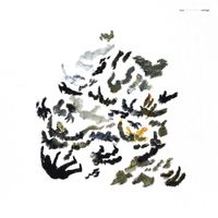 zouz - Vertiges