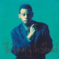 Barry Adamson - The Taming of the Shrewd