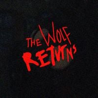 JPEGMAFIA - The Wolf Returns