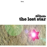 The Orchids - The Lost Star