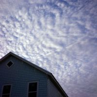 Bedside Kites - Your Hand In Mine