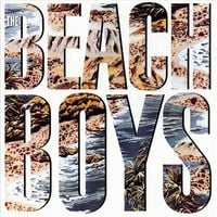 The Beach Boys - The Beach Boys
