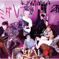 2PM - Midaretemina