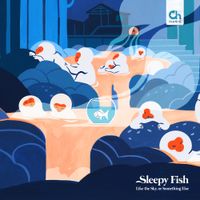 Sleepy Fish - Like the Sky, or Something Else