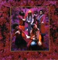 Captain Beefheart - Grow Fins: Rarities 1965&ndash;1982