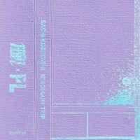 Sachi Kobayashi - Imaginary Trip
