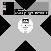 Blawan - Under Belly