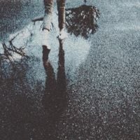 Sadness - april sunset