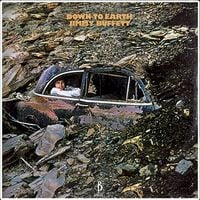 Jimmy Buffett - Down to Earth