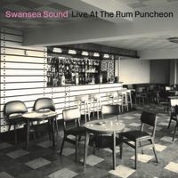 Swansea Sound - Live at The Rum Puncheon