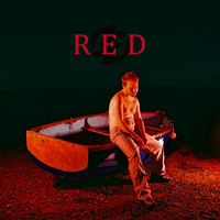 SINSINK - ITSWD: RED