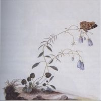 Botanist - I: The Suicide Tree / II: A Rose from the Dead