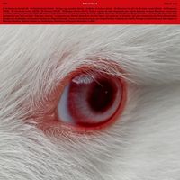 VVV [Trippin'you] - Turboviolencia