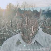 Lingua Ignota - EPISTOLARY GRIEVING FOR JIMMY SWAGGART