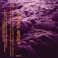 Pataphysical - Hapticality