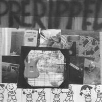 Preripped - preripped