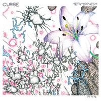 Curse - Metamorphism