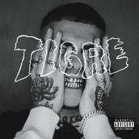 Ceaese - Tigre